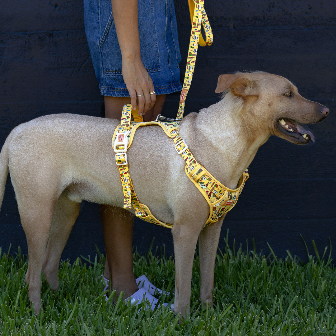 Elote Cart XL Harness