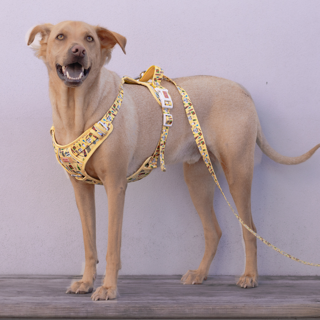 Elote Cart XL Harness