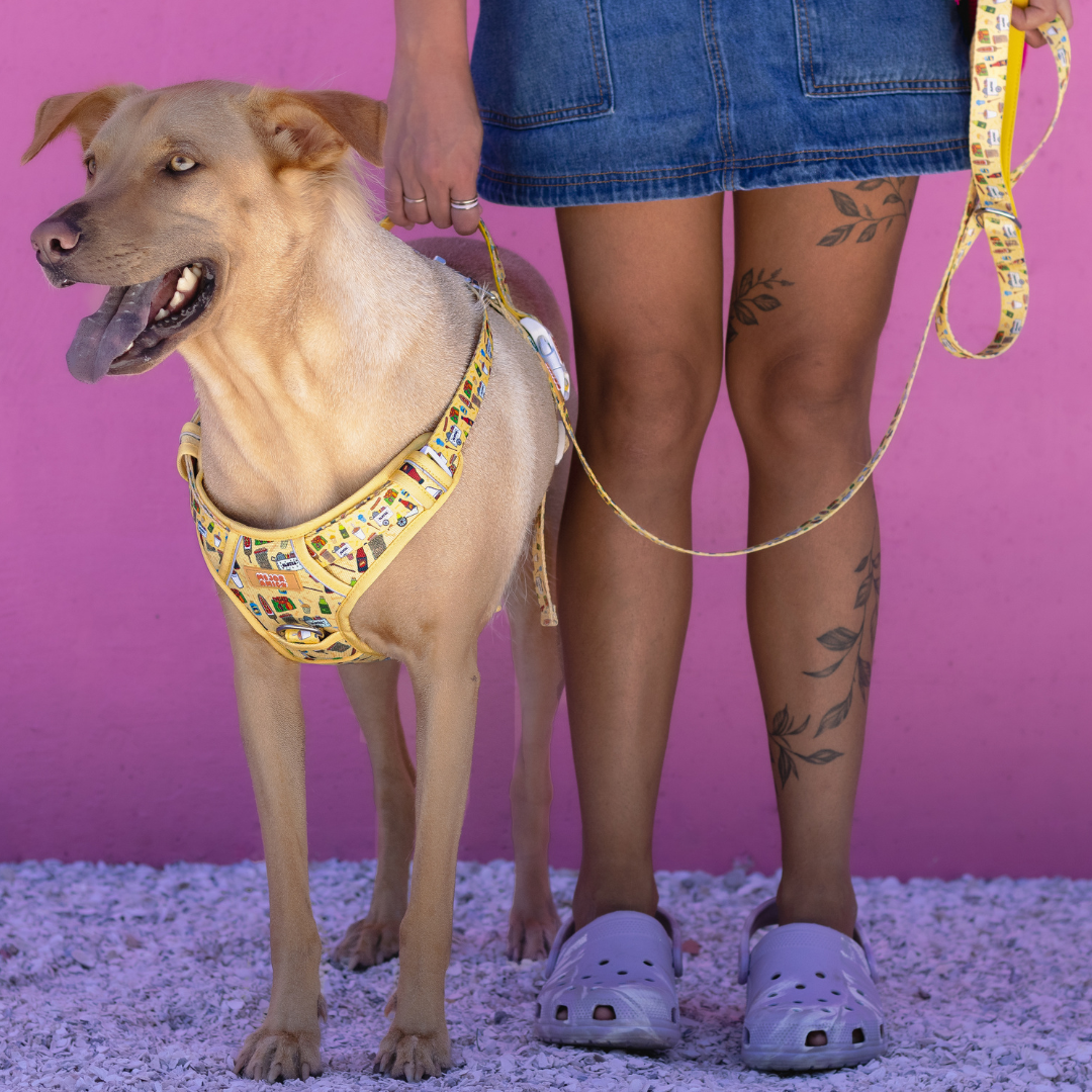 Elote Cart XL Harness