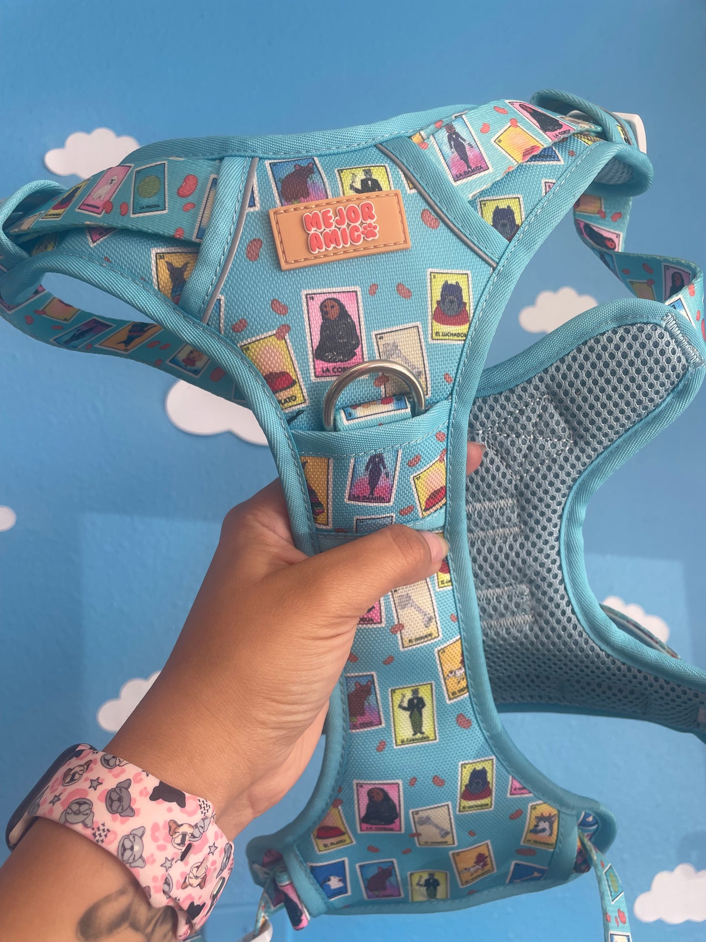Dog Lotería XL Harness