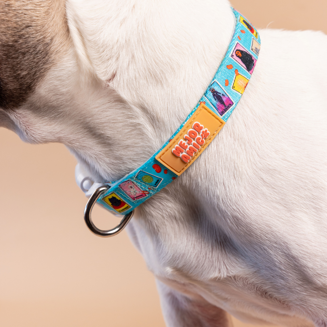 Dog Lotería Collar