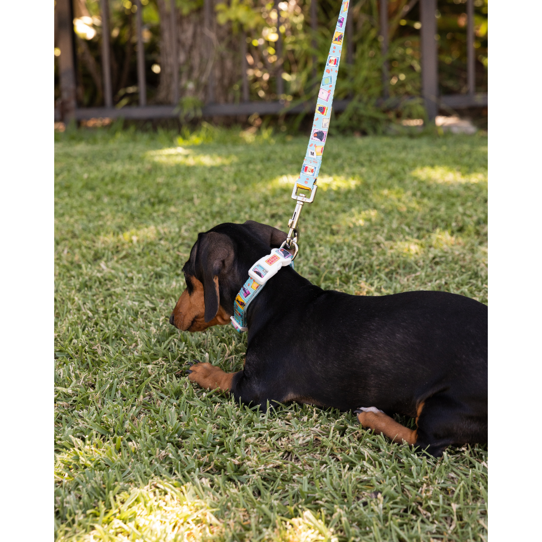 Dog Lotería Collar