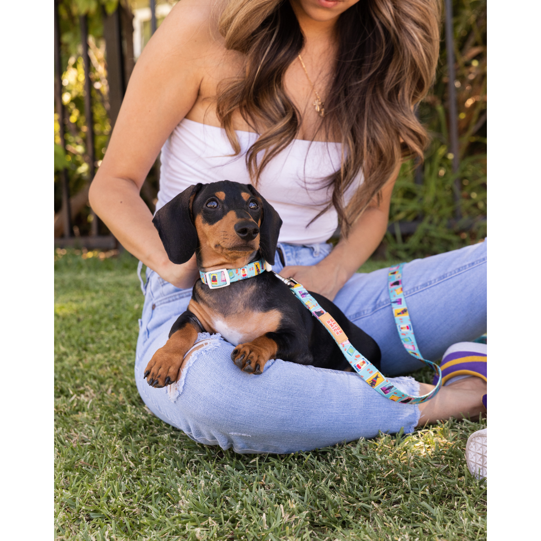 Dog Lotería Collar