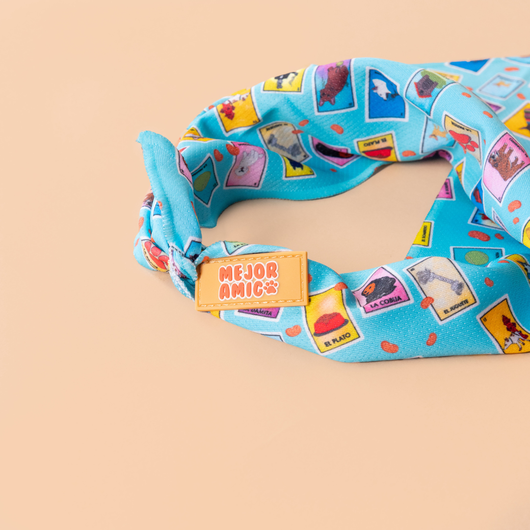 Dog Lotería Bandana