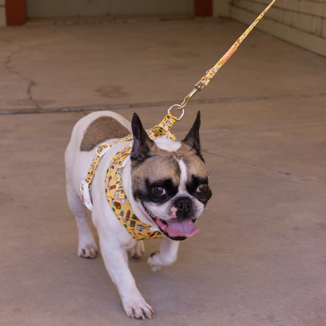Elote Cart Leash