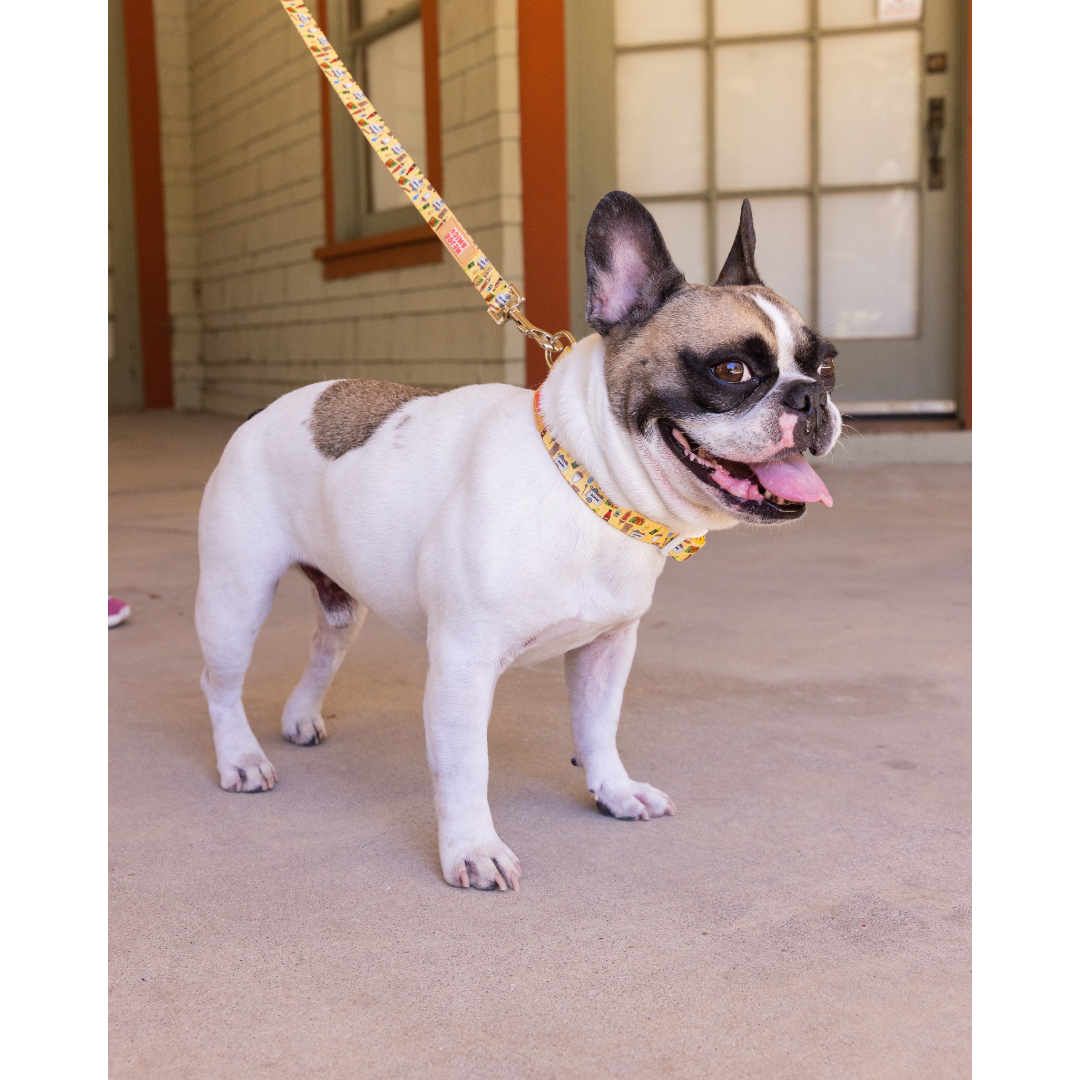 Elote Cart Leash