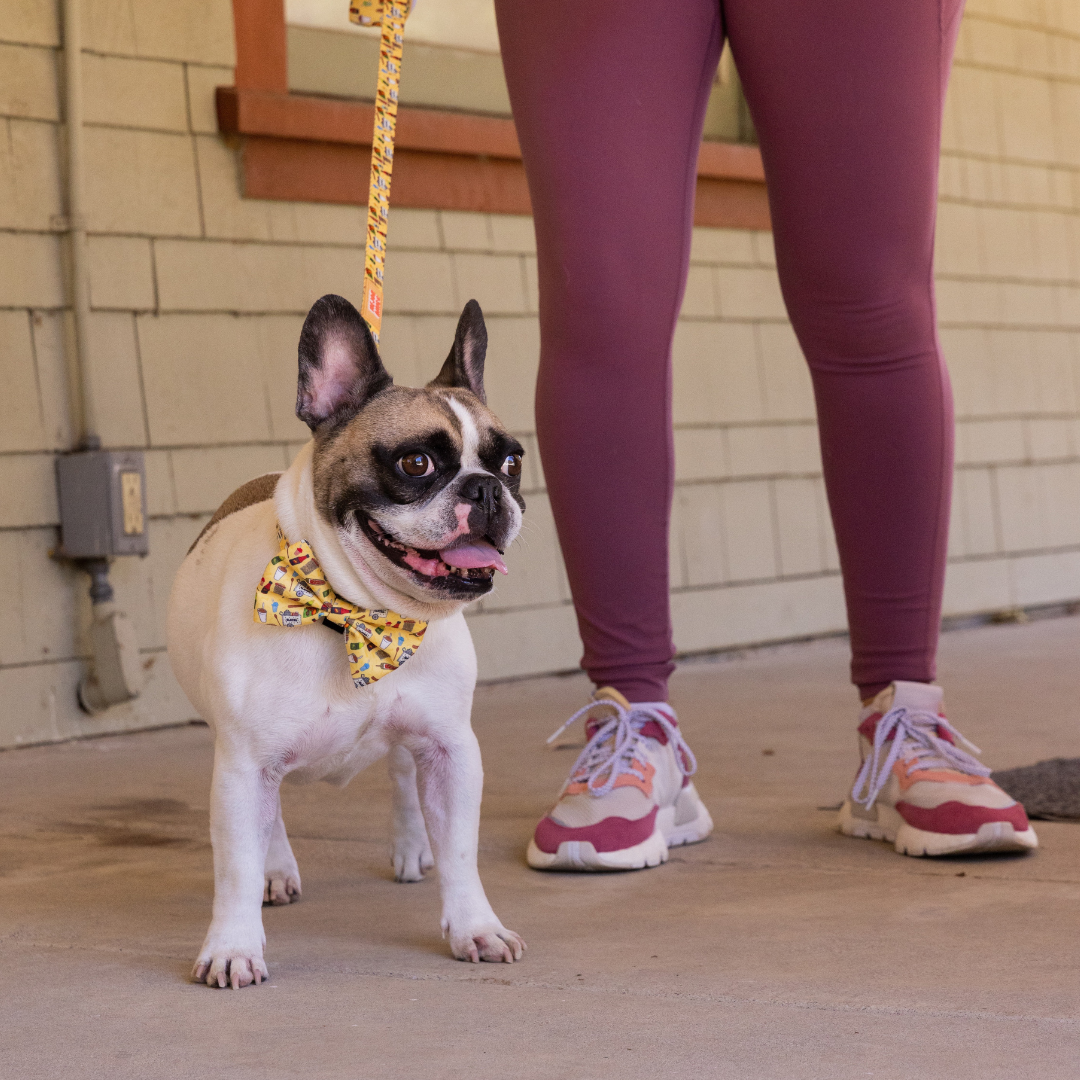 Elote Cart Leash