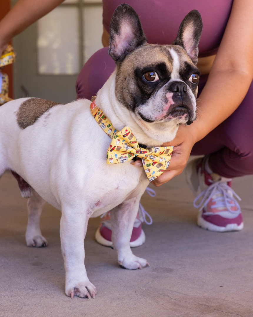 Elote Cart Collar