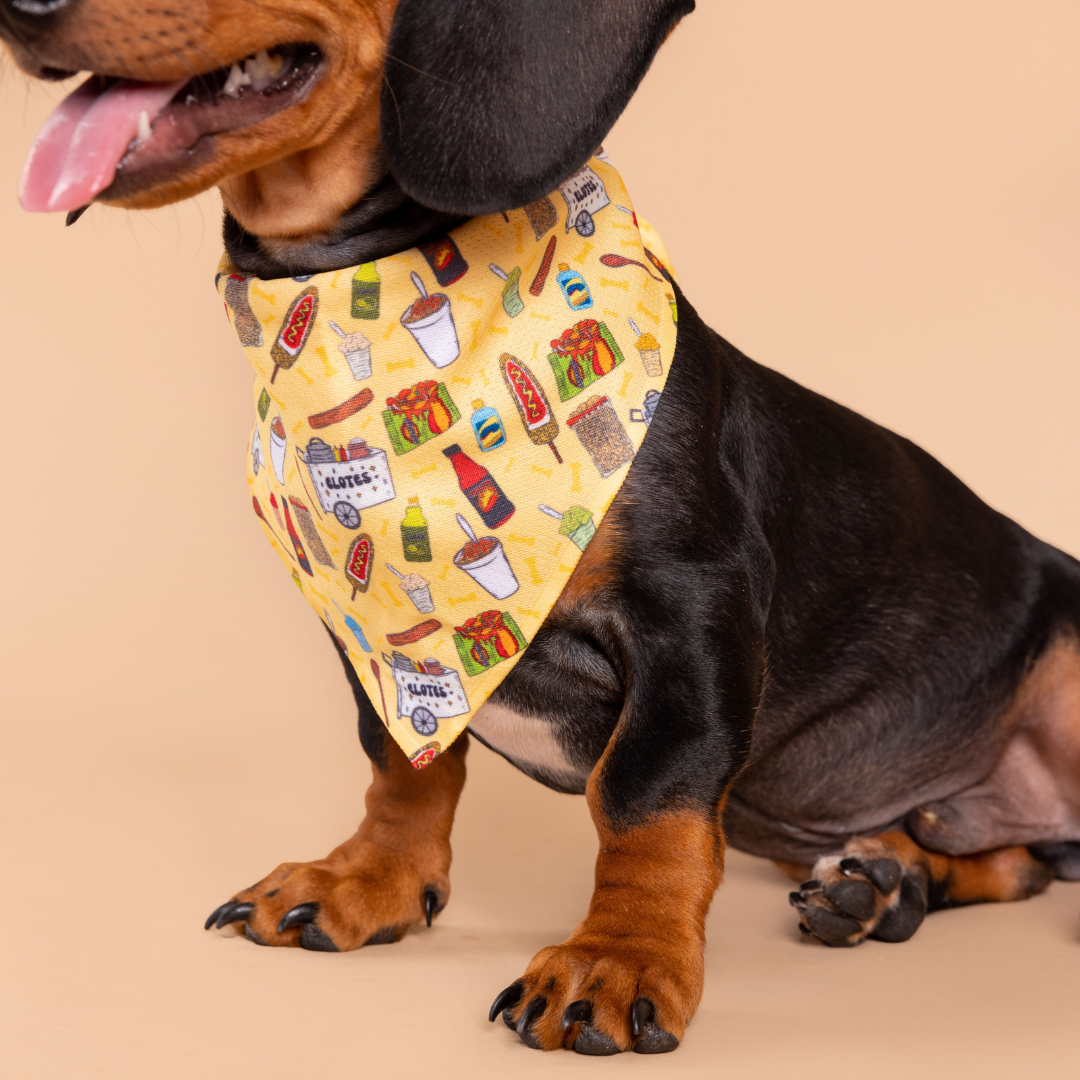Elote Cart Bandana