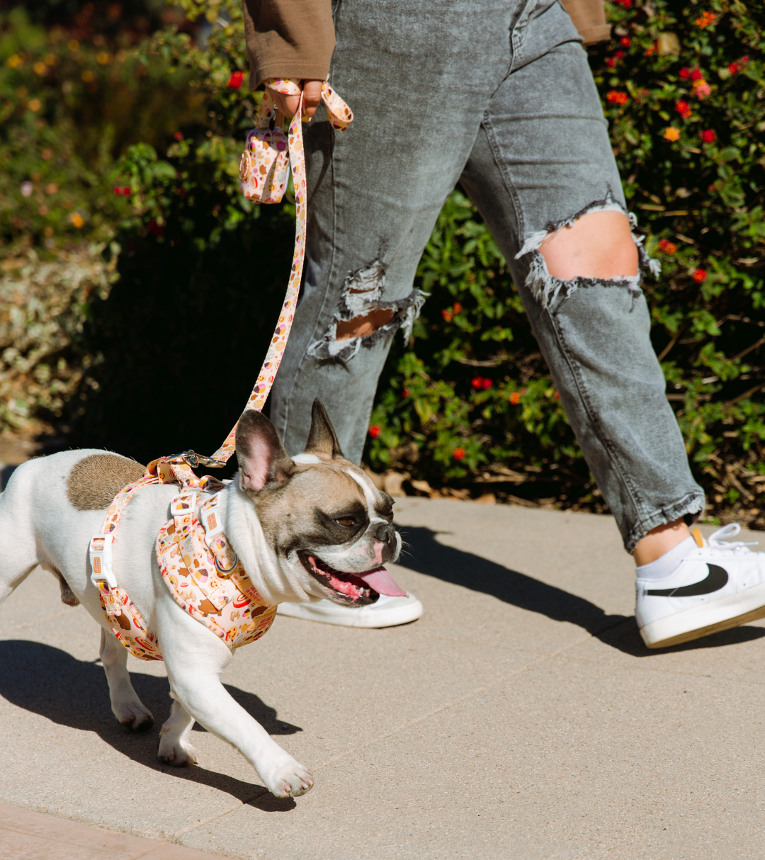 Pan Dulce Walking Set