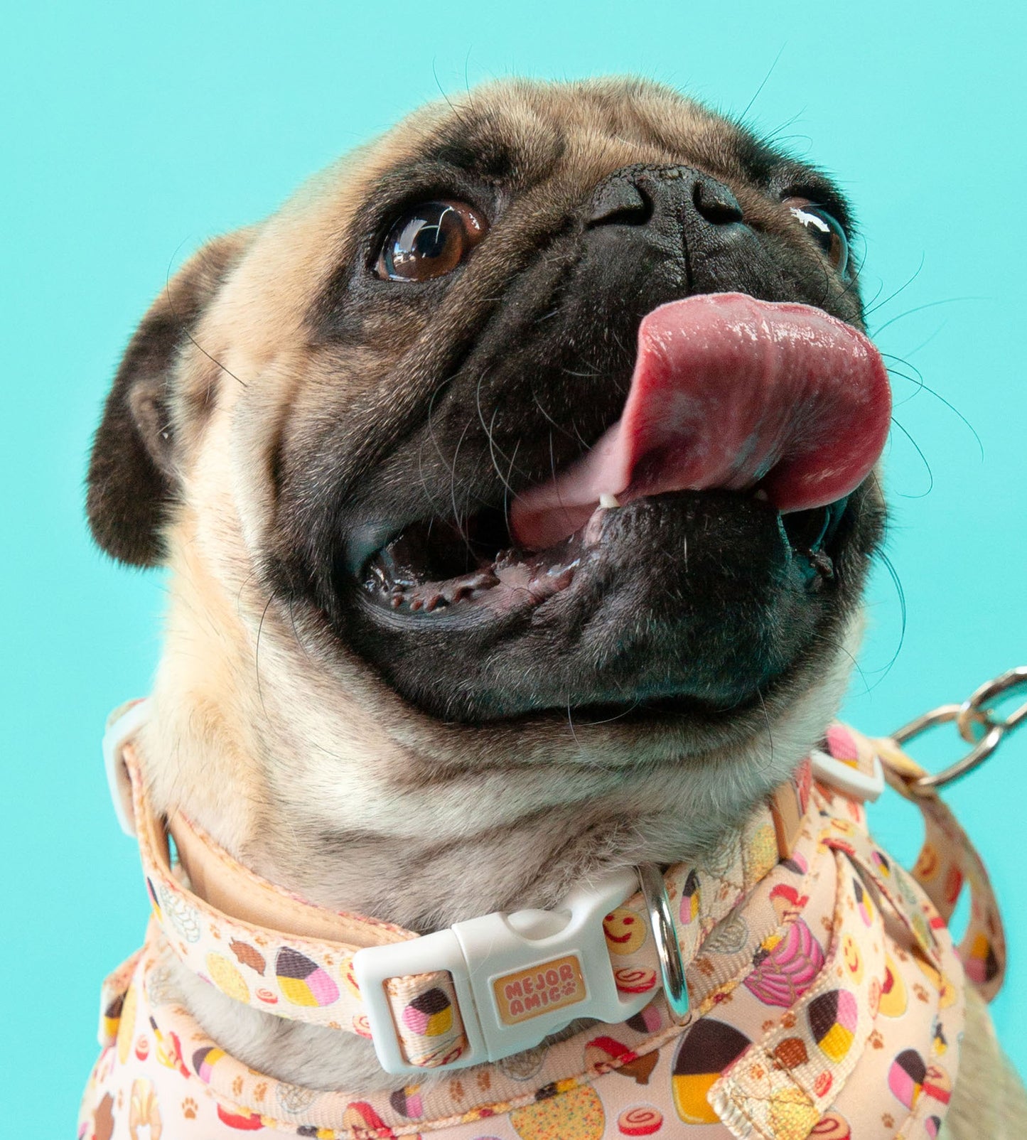 Pan Dulce Collar