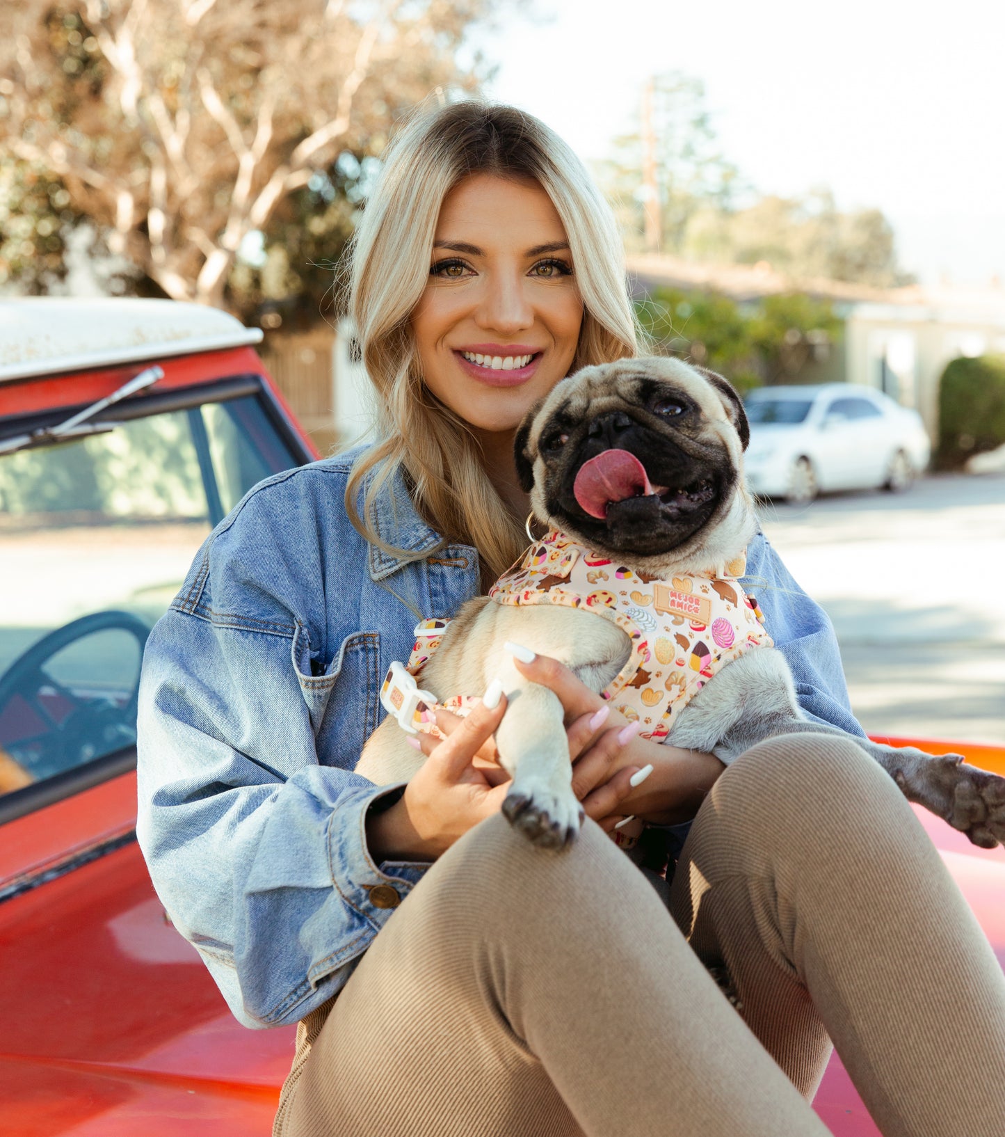 Pan Dulce Harness