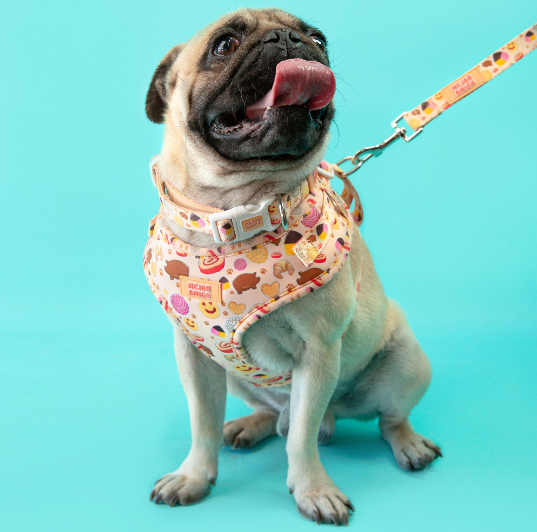 Pan Dulce Walking Set