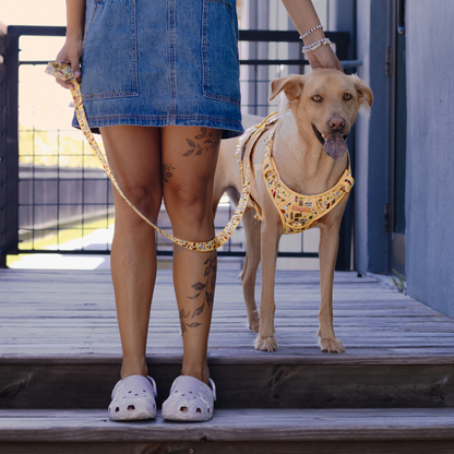 Elote Cart XL Harness