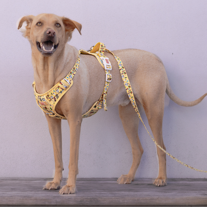 Elote Cart XL Harness