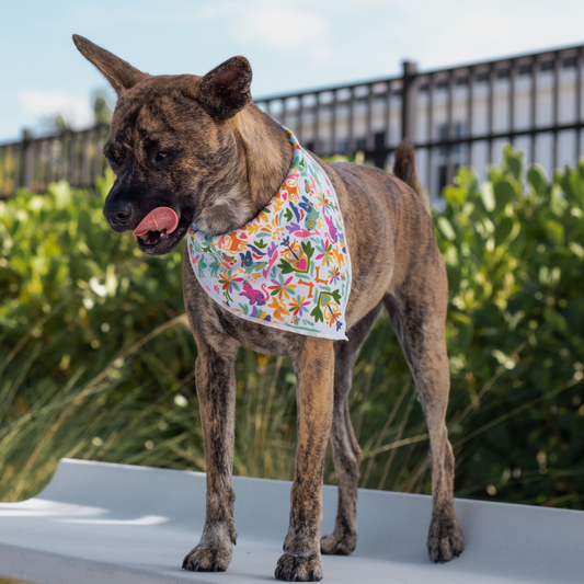 Otomí Bandana