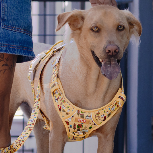 Elote Cart XL Harness
