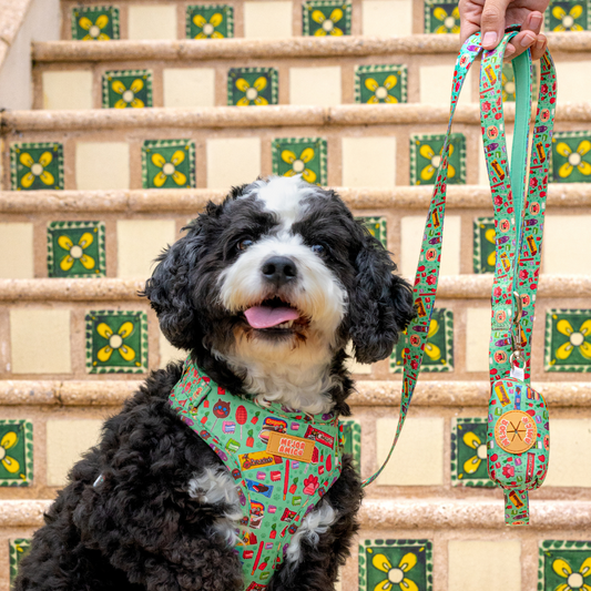 Dulcesitos Leash