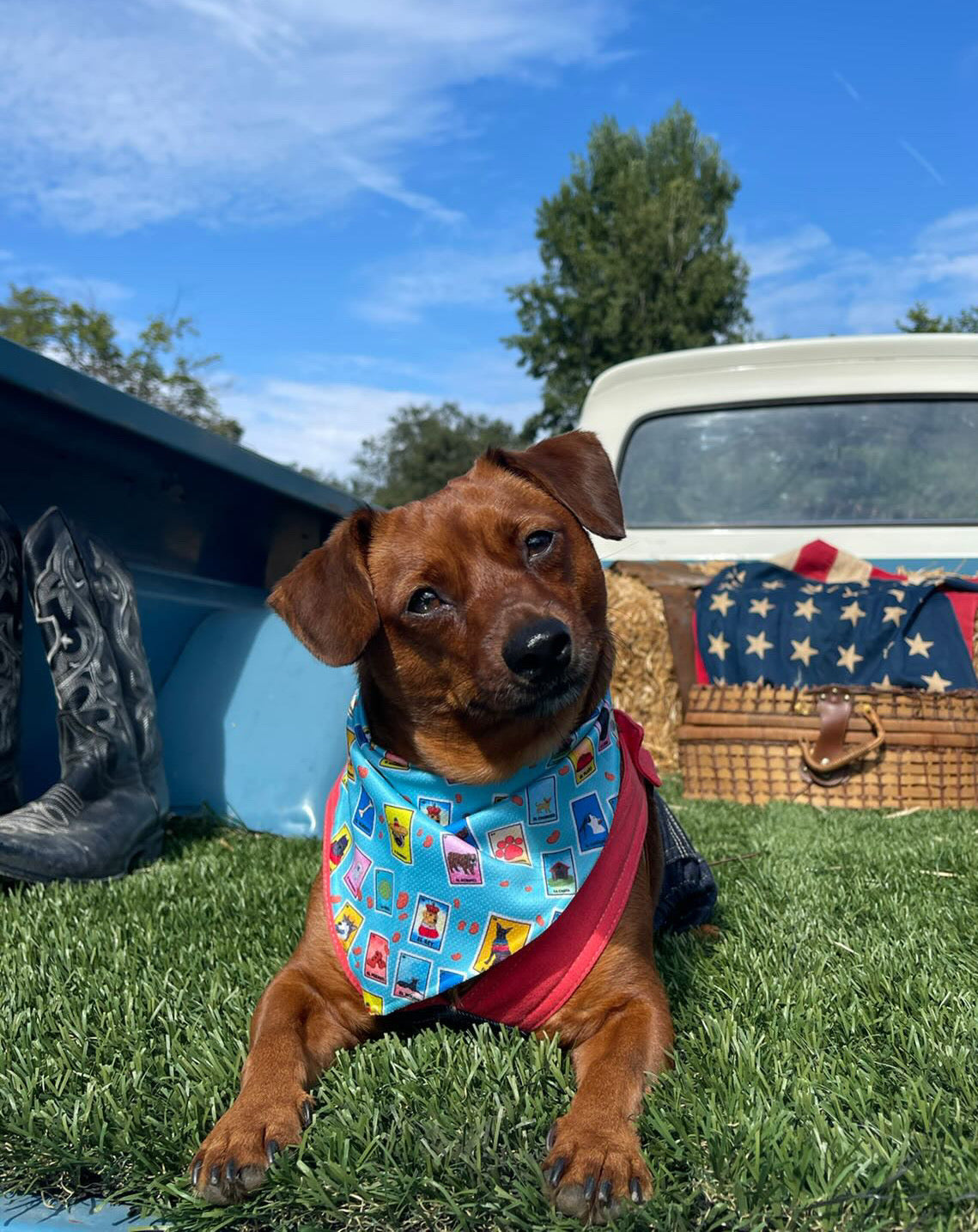 Battenkill | Dog Bandana