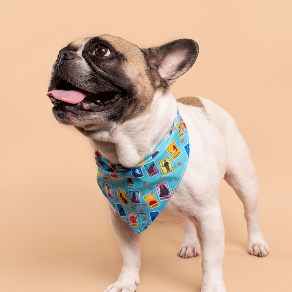 Dog deals wearing bandana