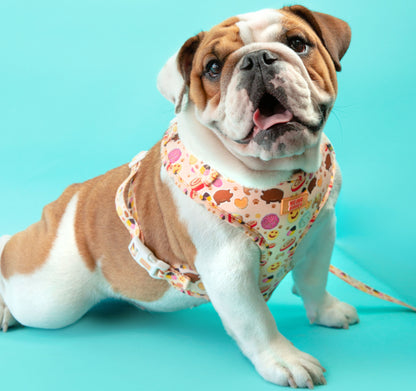 Pan Dulce Harness
